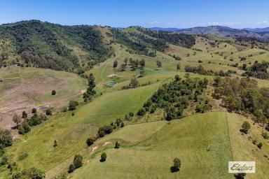 Livestock For Sale - NSW - Wang Wauk - 2423 - Run Cattle By The Coast - Income Meets Lifestyle  (Image 2)