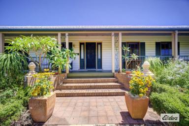 Livestock For Sale - NSW - Wang Wauk - 2423 - Run Cattle By The Coast - Income Meets Lifestyle  (Image 2)