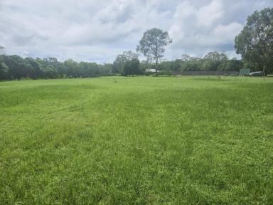 Residential Block For Sale - QLD - Forrest Beach - 4850 - PRIME BEACH PROPERTY AWAITS!  (Image 2)