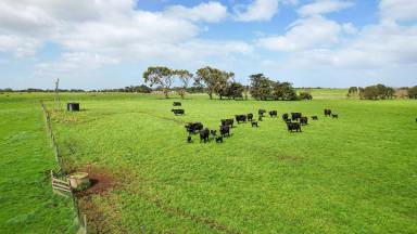 Lifestyle For Sale - VIC - Narrawong - 3285 - Coastal Lifestyle Grazing at Narrawong (Image 2)