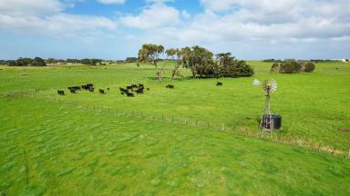 Lifestyle For Sale - VIC - Narrawong - 3285 - Coastal Lifestyle Grazing at Narrawong (Image 2)