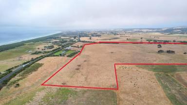 Lifestyle For Sale - VIC - Narrawong - 3285 - Semi sustainable lifetyle property or very productive outpaddock. Your choice?  (Image 2)