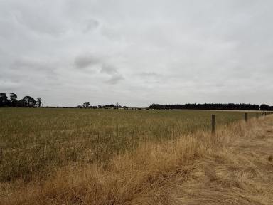 Mixed Farming For Sale - VIC - Strathkellar - 3301 - For lease by tender  (Image 2)