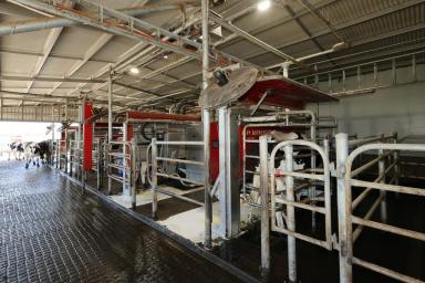 Dairy For Sale - VIC - Heywood - 3304 - Dairying Made Easy!  (Image 2)