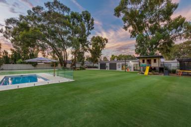House For Sale - VIC - Ascot - 3551 - Immaculate Lawns and Exceptional Outdoor Entertaining  (Image 2)
