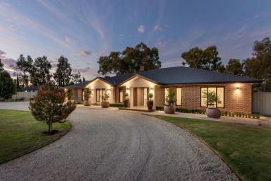 House For Sale - VIC - Ascot - 3551 - Immaculate Lawns and Exceptional Outdoor Entertaining  (Image 2)