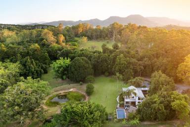 House For Sale - QLD - Cooroy - 4563 - Modern Farmhouse in the Foothills of Exclusive Mt Cooroy  (Image 2)