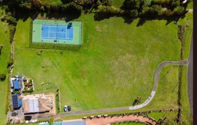 Acreage/Semi-rural For Sale - NSW - Denham Court - 2565 - A Grand 1-Hectare Estate: The Pinnacle of Semi-Rural Luxury  (Image 2)