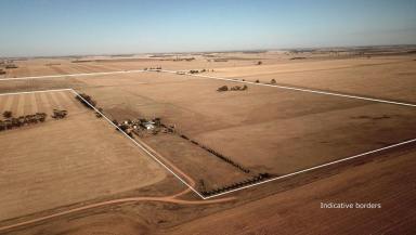 Mixed Farming For Sale - VIC - Swanwater - 3477 - Quality Mixed Farming Property With Well Established Off-Grid Dwelling  (Image 2)