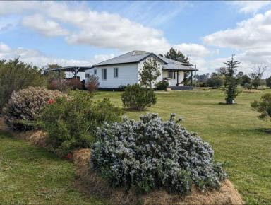 Mixed Farming For Sale - VIC - Swanwater - 3477 - Quality Mixed Farming Property With Well Established Off-Grid Dwelling  (Image 2)