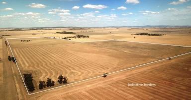 Mixed Farming For Sale - VIC - Swanwater - 3477 - Quality Mixed Farming Property With Well Established Off-Grid Dwelling  (Image 2)