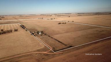 Mixed Farming For Sale - VIC - Swanwater - 3477 - Quality Mixed Farming Property With Well Established Off-Grid Dwelling  (Image 2)