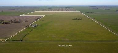 Mixed Farming For Sale - VIC - Swanwater - 3477 - Quality Mixed Farming Property With Well Established Off-Grid Dwelling  (Image 2)