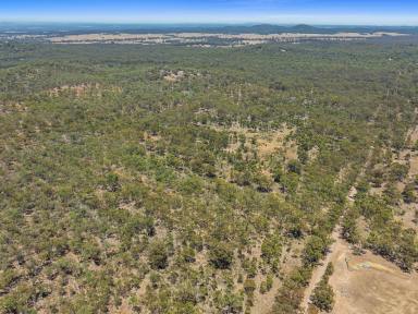 Lifestyle For Sale - VIC - Bailieston - 3608 - BACK TO NATURE WITH AN INCOME  (Image 2)