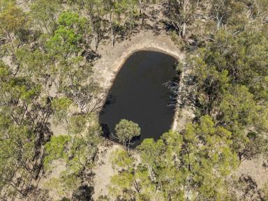 Lifestyle For Sale - VIC - Bailieston - 3608 - BACK TO NATURE WITH AN INCOME  (Image 2)