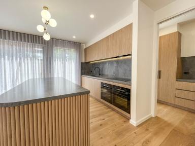 Townhouse Leased - VIC - Cheltenham - 3192 - New Luxury Townhouse Quiet Court Location  (Image 2)