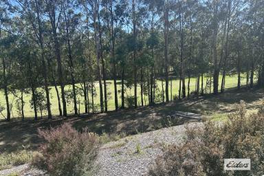 House For Lease - NSW - Tallwoods Village - 2430 - Golfer's Delight  (Image 2)
