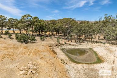 Residential Block For Sale - VIC - Ravenswood - 3453 - Last Vacant Block in Enviable Ramon Parade - 8.59 Ha / 21.22Ac (Image 2)