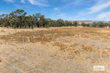 Residential Block For Sale - VIC - Ravenswood - 3453 - Last Vacant Block in Enviable Ramon Parade - 8.59 Ha / 21.22Ac (Image 2)