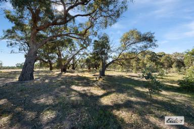 Residential Block For Sale - VIC - Ravenswood - 3453 - Last Vacant Block in Enviable Ramon Parade - 8.59 Ha / 21.22Ac  (Image 2)
