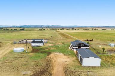 Lifestyle For Sale - QLD - Kings Creek - 4361 - Lifestyle, Livestock & Location – 90 Acres of Opportunity at Kings Creek (Image 2)