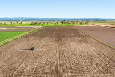 Cropping For Sale - QLD - Lynford - 4342 - Water, Dirt and Opportunity! Retirement Beckons Sale!  (Image 2)