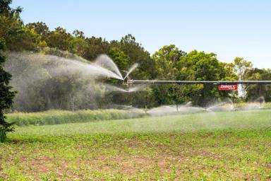 Cropping For Sale - QLD - Lynford - 4342 - Water, Dirt and Opportunity! Retirement Beckons Sale!  (Image 2)