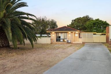 House Sold - WA - Girrawheen - 6064 - THE COMPLETE PACKAGE IN GIRRAWHEEN - RENOVATED 3x1 – 683m² R20/40  (Image 2)