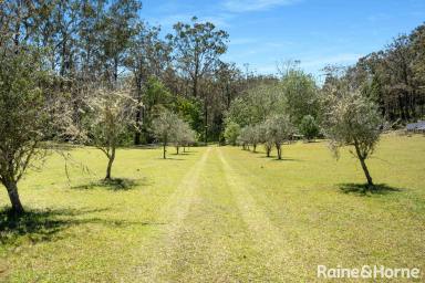 House For Sale - NSW - Budgong - 2577 - 80 Acres of Pure Seclusion with a Permanent Creek  (Image 2)