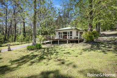 House For Sale - NSW - Budgong - 2577 - 80 Acres of Pure Seclusion with a Permanent Creek  (Image 2)