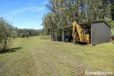 Lifestyle For Sale - NSW - Budgong - 2577 - Vacant Land - 40 Acres with a Permanent Creek  (Image 2)