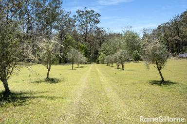 Lifestyle For Sale - NSW - Budgong - 2577 - Vacant Land - 40 Acres with a Permanent Creek  (Image 2)