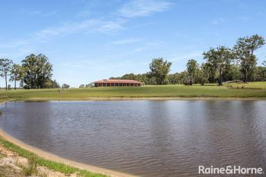 Acreage/Semi-rural Auction - NSW - Wandandian - 2540 - A Rare Lifestyle Holding - Over 200 Acres of Breathtaking Rural Beauty (Image 2)