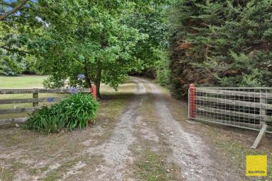 House For Sale - VIC - Toora - 3962 - Fantastic views and just out of town  (Image 2)