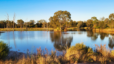 Lifestyle For Sale - NSW - Wee Waa - 2388 - HUNDRED ACRE WOOD  (Image 2)