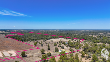 Lifestyle For Sale - NSW - Wee Waa - 2388 - PRIVATE OFF-GRID LIFESTYLE RETREAT WITH EXTENSIVE MODERN UPGRADES (Image 2)