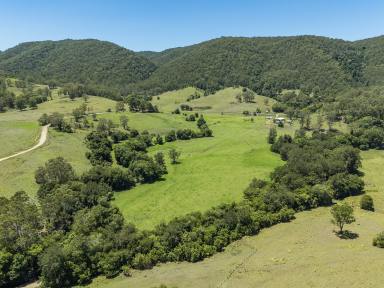 Lifestyle Auction - NSW - Wards River - 2422 - Riverfront Grazing with Scale & Security (Image 2)