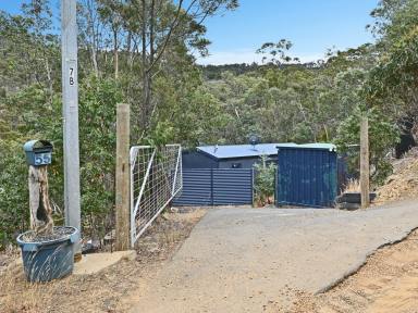 House For Sale - TAS - Dromedary - 7030 - Private Bush Retreat on Four Acres  (Image 2)