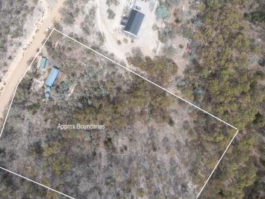 House For Sale - TAS - Dromedary - 7030 - Private Bush Retreat on Four Acres  (Image 2)