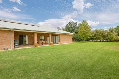 House For Sale - VIC - Nichols Point - 3501 - A Home to suit the BIG Families in Nichols Point!  (Image 2)