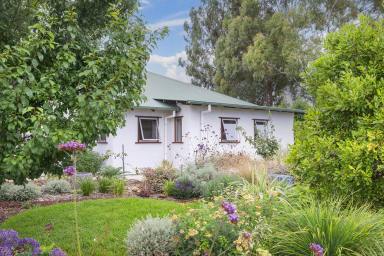 House For Sale - WA - Margaret River - 6285 - LIVE, INVEST, WORK: THREE HOMES, MANY OPPORTUNITIES  (Image 2)