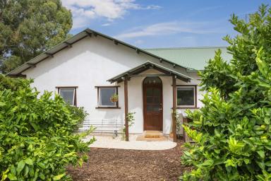 House For Sale - WA - Margaret River - 6285 - LIVE, INVEST, WORK: THREE HOMES, MANY OPPORTUNITIES  (Image 2)