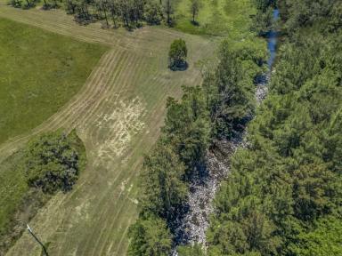 Lifestyle Auction - NSW - Salisbury - 2420 - Williams River Frontage Grazing Holding (Image 2)