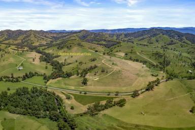 Lifestyle Auction - NSW - Salisbury - 2420 - Williams River Frontage Grazing Holding (Image 2)
