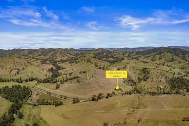 Lifestyle Auction - NSW - Salisbury - 2420 - Williams River Frontage Grazing Holding - Four Titles, Power & Infrastructure  (Image 2)