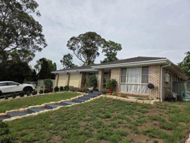 House For Sale - NSW - Muswellbrook - 2333 - PROUD AND PRACTICAL THIS THREE BEDROOM HOME HAS ELEGANCE, ENJOYING A GOOD INDOORS AND OUTDOORS BALANCE ! (Image 2)