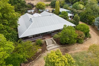 House For Sale - WA - Parkerville - 6081 - In a Word: Estate  (Image 2)