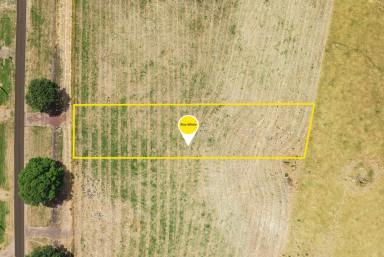 Residential Block For Sale - VIC - Derrinallum - 3325 - Spacious Building Block  (Image 2)