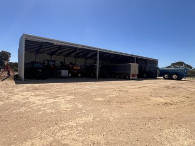 Cropping For Sale - SA - Karoonda - 5307 - Renovated cropping land, Huge new shed, All the hard work is done.  (Image 2)