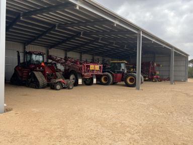 Cropping For Sale - SA - Karoonda - 5307 - Renovated cropping land, Huge new shed, All the hard work is done.  (Image 2)